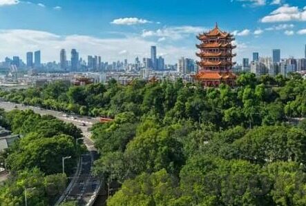 德国上届世界杯功臣-德国上届世界杯功臣，荣耀背后的汗水与坚持